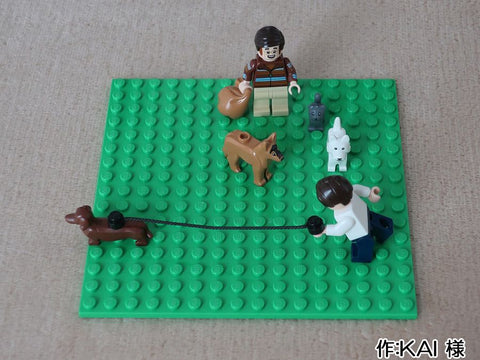 ペットのお散歩(KAI 様)