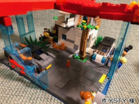 フェニックス飛来(YSTY 様)