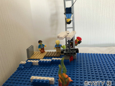 シー・バンジージャンプ(YSTY 様)