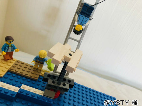 シー・バンジージャンプ(YSTY 様)