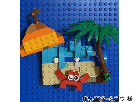 南の島(ウエピーとゴウ 様)