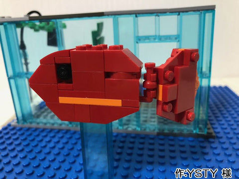 金魚の水槽(YSTY 様)