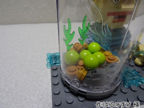 マリモはペット?(はるのすけ 様)