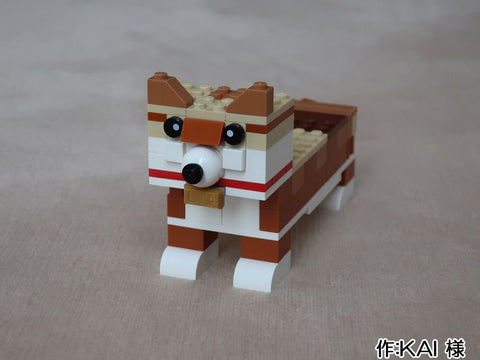 ぼくの柴犬(KAI 様)