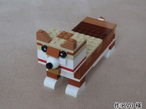 ぼくの柴犬(KAI 様)