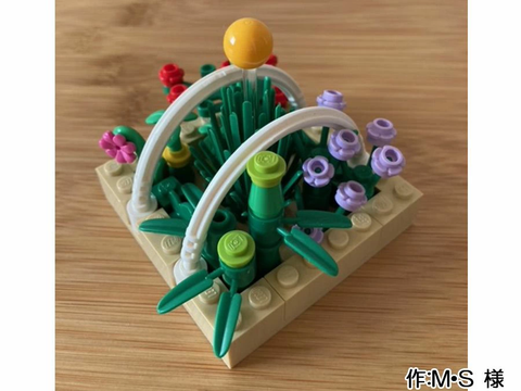 花・植物(M・S 様)