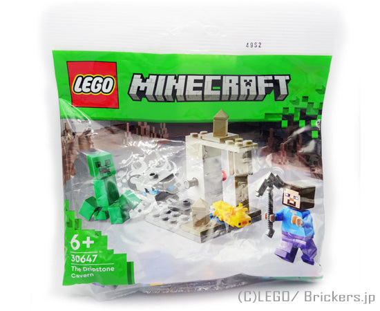 レゴ マインクラフト/鍾乳洞 ポリバック #30647
