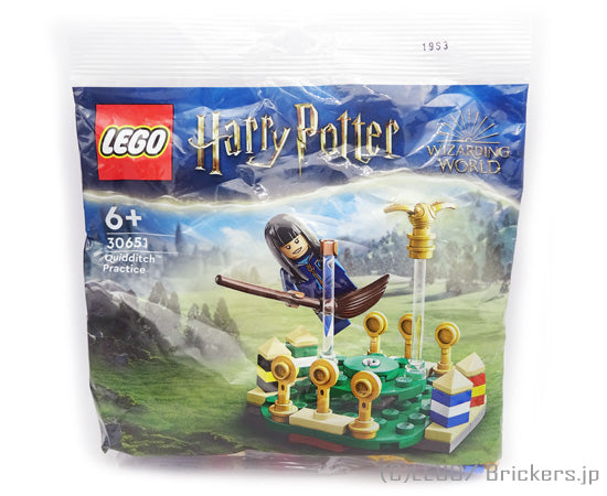 レゴ セット レゴ ハリー・ポッター/クィディッチ™の練習<ミニセット> ポリバック #30651