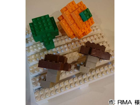 夏から秋へ(RIMA 様)