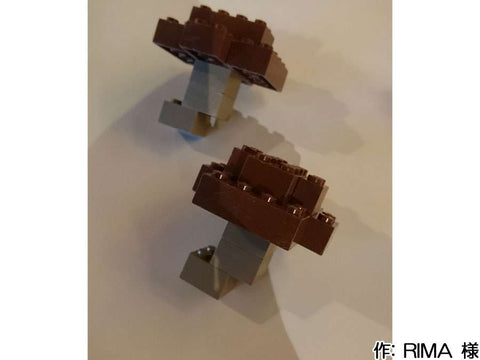 夏から秋へ(RIMA 様)