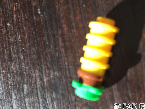 とうもろこし(PAPI 様)