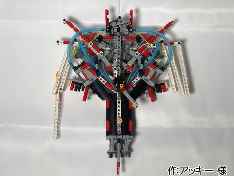 Space star(アッキー 様)