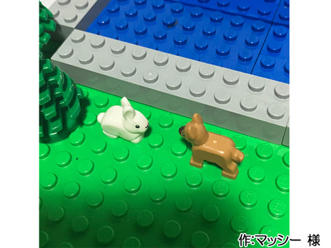 魚と一緒に泳いでみたいな(マッシー 様)