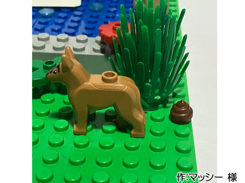 魚と一緒に泳いでみたいな(マッシー 様)