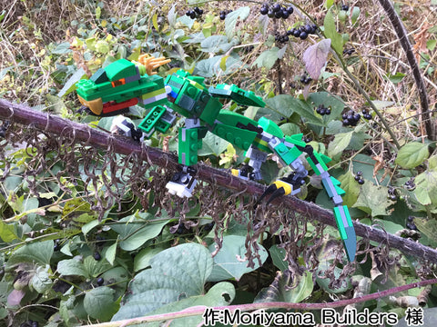 昇龍(Moriyama Builders 様)