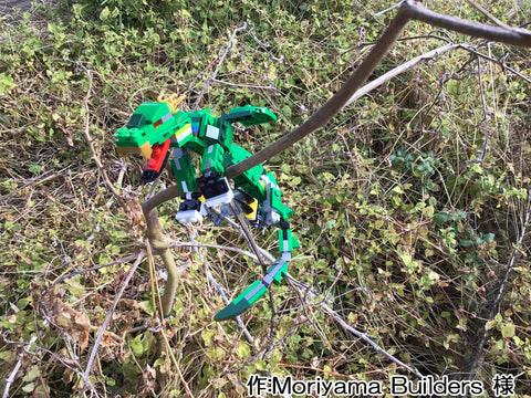 昇龍(Moriyama Builders 様)