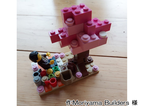 ソロリーマンのお花見(Moriyama Builders 様)