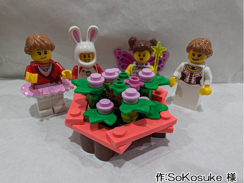 小さい桜を囲む会(SoKosuke 様)