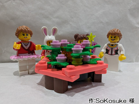 小さい桜を囲む会(SoKosuke 様)