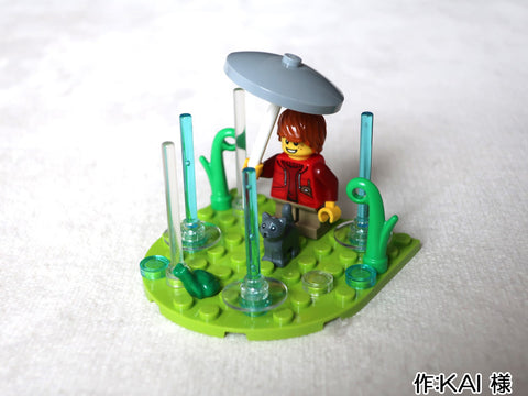 梅雨明けはいつ?(KAI 様)