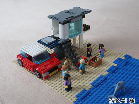 みんなでドルフィンウォッチング(KAI 様)