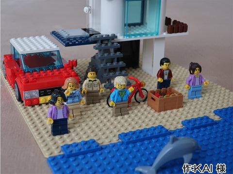 みんなでドルフィンウォッチング(KAI 様)