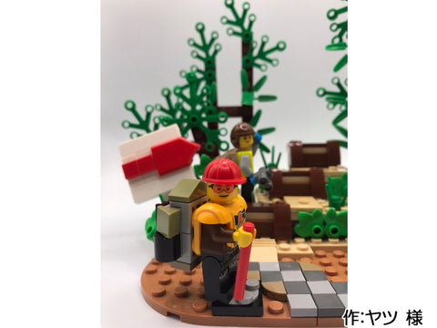 登山道の入口(ヤツ 様)