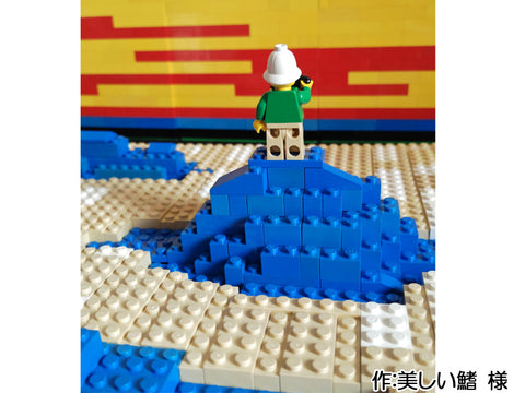 雲海(美しい鰭 様)