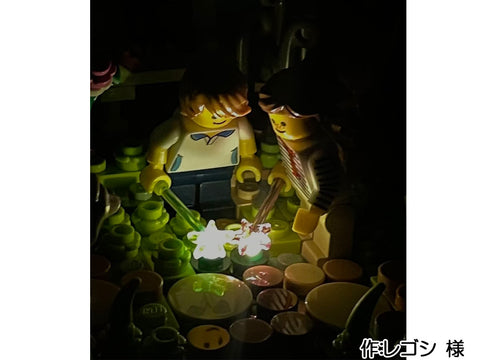 公園で花火(レゴシ 様)