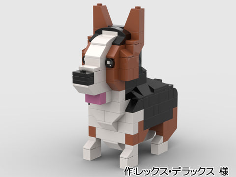 神経質な雄コーギーには注意!(レックス・デラックス 様)