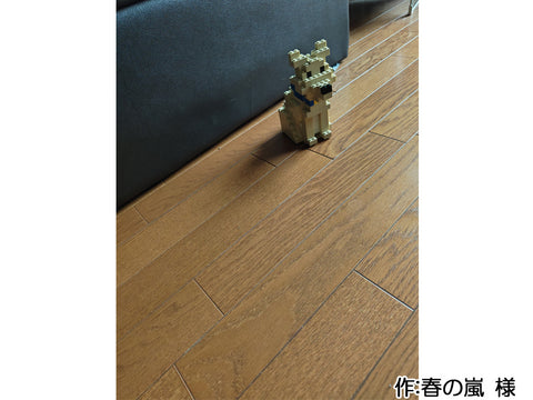 鑑札をつけた犬(春の嵐 様)