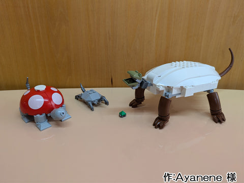 ペットのカメ(Ayanene 様)