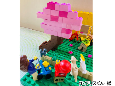 みんなが集まる桜の木(クリスくん 様)