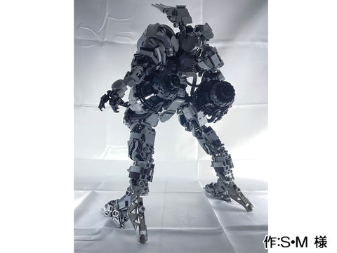 DZ-55 Discipline ディシプリン(S・M 様)