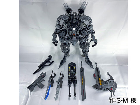 DZ-55 Discipline ディシプリン(S・M 様)