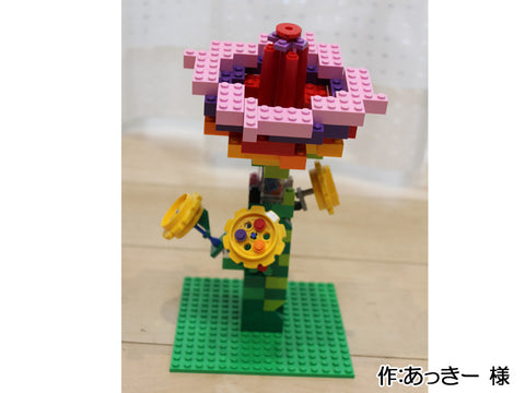 虹色の花(あっきー 様)