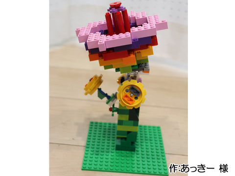 虹色の花(あっきー 様)