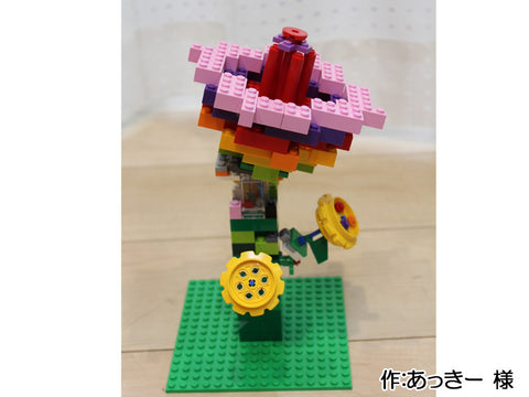 虹色の花(あっきー 様)