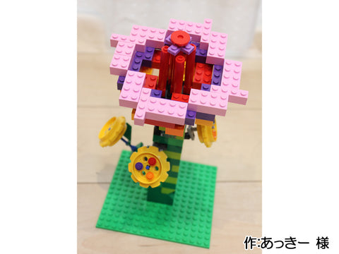 虹色の花(あっきー 様)