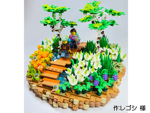 尾瀬ヶ原湿原の花々(レゴシ 様)