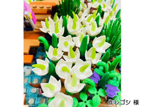 尾瀬ヶ原湿原の花々(レゴシ 様)