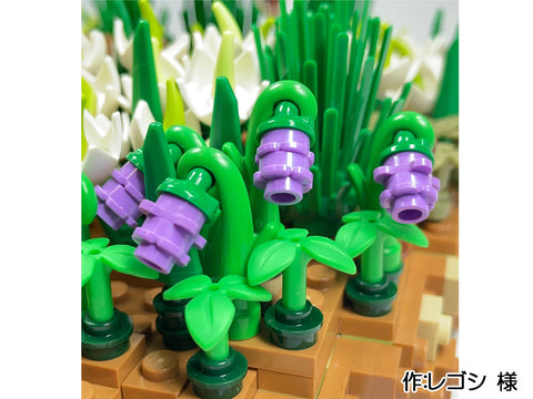 尾瀬ヶ原湿原の花々(レゴシ 様)