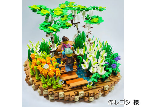 尾瀬ヶ原湿原の花々(レゴシ 様)