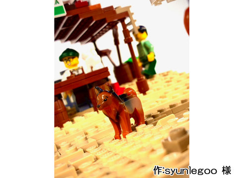 南国のビーチ(syunlegoo 様)