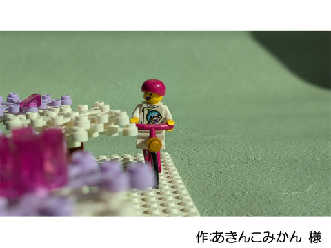 桜(あきんこみかん 様)
