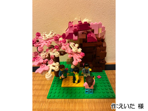 家族でお花見(えいた 様)