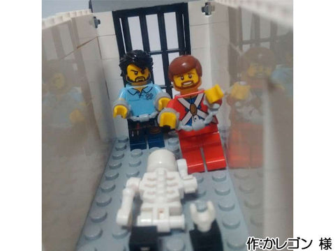 牢獄からの救出(かレゴン 様)