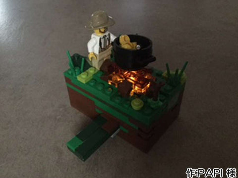 焚き火(PAPI(9歳) 様)