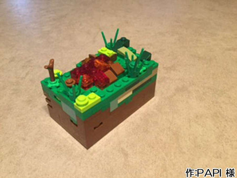 焚き火(PAPI(9歳) 様)