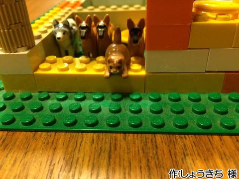 ペットショップ(しょうきち 様)